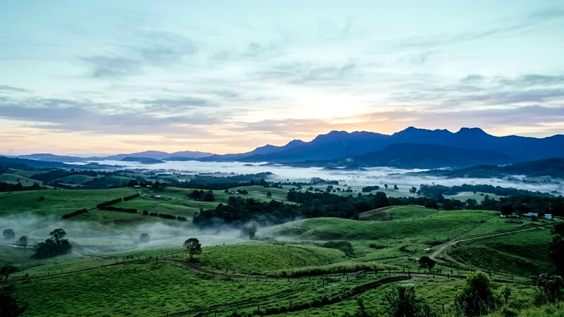 Misty rolling green hills of the Atherton Tablelands at sunrise.