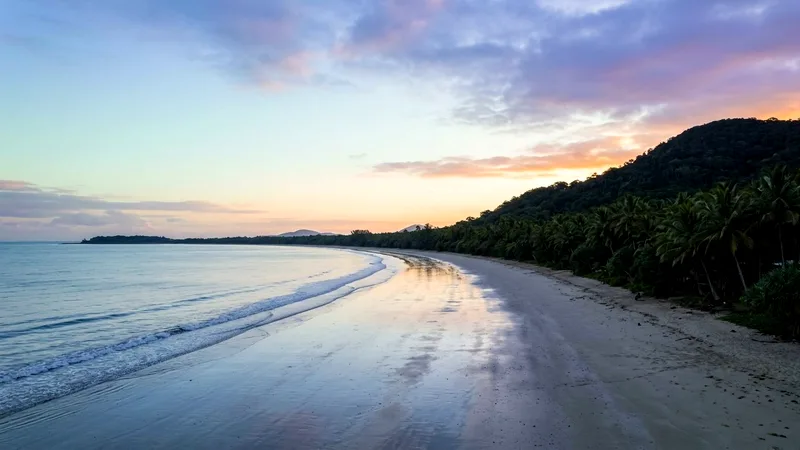 Four Mile Beach at dawn with palms and wet reflective sand.